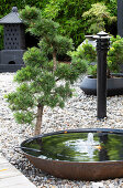Asian-inspired garden design with water feature and gravel