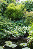 Gartenteich umgeben von Bambus und Hostas