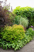 Diversely planted garden bed with ornamental grasses, perennials and climbing support