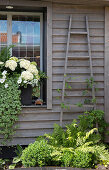Bepflanztes Fensterbrett außen, Fenster, Pflanzenleiter und Holzwand
