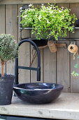 Outdoor washbasin surrounded by plants
