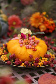 Pumpkin with blackberries as a decoration