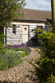 Yard with wood sided building, gravel path and planting