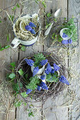Eggshells filled with grape hyacinths (Muscari) in an Easter nest made of birch twigs and in an enamel pot