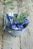 Muscari filled eggshell and silver spoon in rustic enamel pot