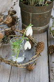Schneeglöckchen (Galanthus) mit Kresse in Vase und Kränzchen aus Lärchenzweigen