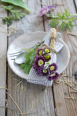 Serviette mit Alpenaurikel (Primula auricula) und Besteck auf Teller, Tischdeko
