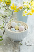 Pastel-colored Easter eggs in ceramic bowls, spring bouquet of daffodils (Narcissus) and primroses (Primula veris) in the background