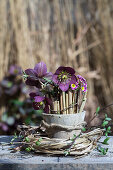 Oriental hellebore and stalks of winter grass in a clay pot, wrapped with a wreath