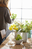 Teekanne mit Schneeball (Viburnum) und Frühlingssträußen  in Vasen auf Esstisch
