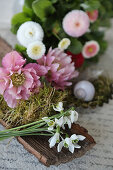 Deko mit Rinde, Moos, Christrosenblüten (Helleborus niger), Primeln und Schneeglöckchen