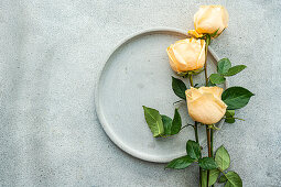 Teller mit frischen Rosen