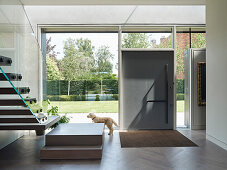Dog stands in the entrance area of a modern house with glass front wall