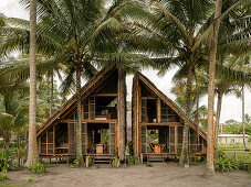 Triangular bamboo house surrounded by palm trees on Isla Portete, Ecuador
