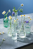 Bud Vases with spring flowers