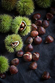 Sweet chestnuts (Castanea sativa) with and without spiky skin on a dark fabric background