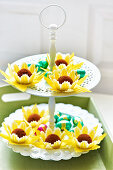 Chocolate truffles with flower decoration on white etagere