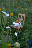 Wooden chair with waffles on cake plate in blooming summer meadow