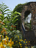 Staircase, stone arch with door and lushly planted garden