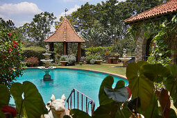 Tropical garden with fountain in the pool and lush planting