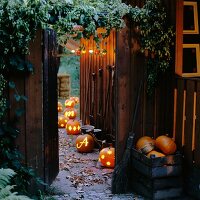 Illuminated pumpkins against a fence in a garden
