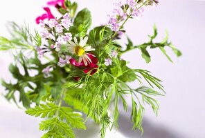 Bunch of mixed herbs with flowers