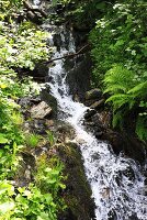 A natural stream in the mountains