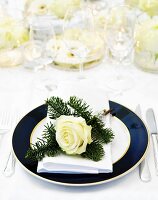 Festive place-setting with fir sprigs and white rose