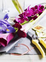 Schwertlilien und Rebschere vor Blumenvase