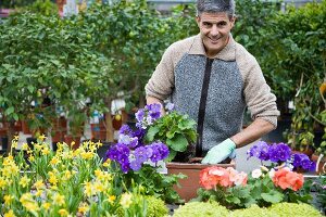 Gardner repotting plants