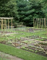 Anbau von Gemüse, Salat und Blumen mit Kletterhilfen