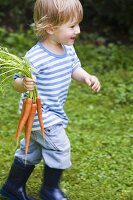 Junge läuft mit Karotten in der Hand