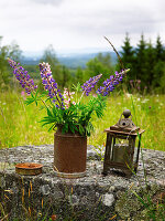 Still life with lupins in an old jug and lantern outdoors