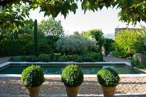 Symmetrically laid out garden with pool and boxwood balls