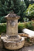 Old stone fountain with gargoyle in Mediterranean garden