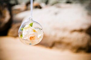 Rose bloom in suspended glass bauble