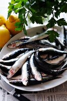 Fresh sardines with lemons and parsley