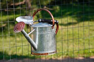 Watering Can and Trowel Hanging on Metal Fence