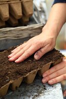 A lady's hand smoothing potting soil in a seed starter