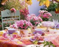 Gedeckter Kaffeetisch mit rosa Chrysanthemen