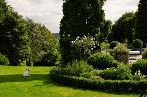 Moderne Küche im Landhausstil mit Dunstabzug und Geschirrsammlung auf