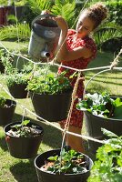 Woman watering plants in garden buckets hanging from ropes