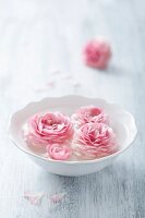 Pink ranunculus flowers in a white bowl