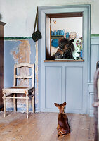 Horse looking through the door, dog sitting on the floor, rustic ambience