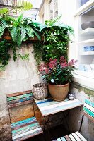 Klappstühle und Tisch mit abblätternder Farbe auf Terrasse vor Küchenfenster, Pflanzentopf auf Tisch vor Mauer