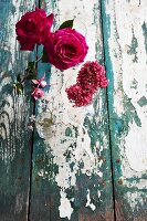Roses and lilac on weathered wooden table