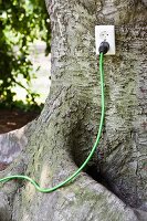 Steckdose mit Stecker in einem Baumstamm