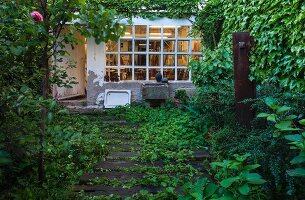 Bewachsene Holzbohlen auf Boden im Garten vor Wohnhaus mit Sprossenfenster und verwitterte Fassade
