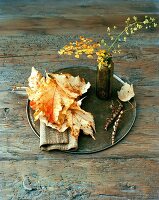 Autumnal arrangement of leaves & vase of twigs