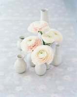 White ranunculus in vases